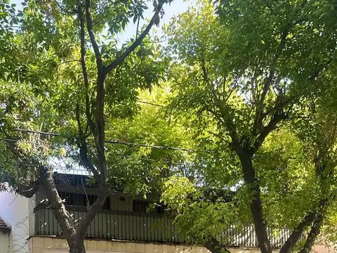 Tiburcio Benegas  al 1100