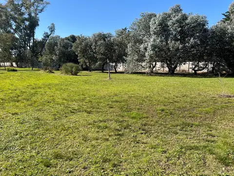 Terreno en Venta de 800,0 m2