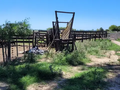 Estanzuela De 70 Has En Exaltación De La Cruz (con Mejoras)