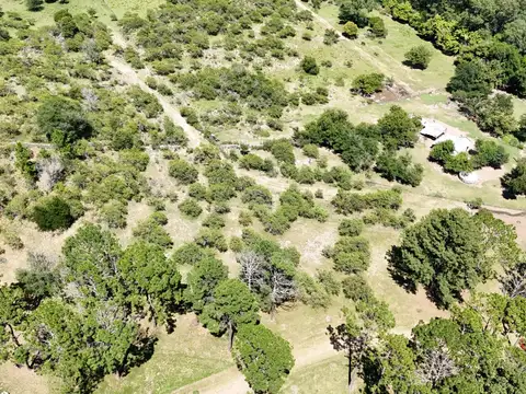 Ruta 228 100, Piso Rut