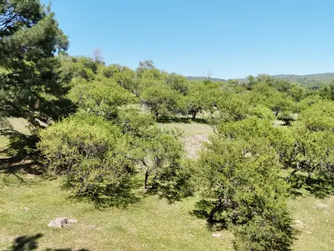 Terreno en Venta de 2272,0 m2