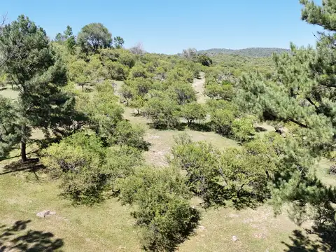 Terreno en Venta, FOS 30