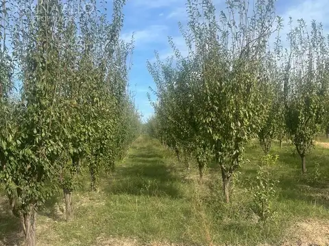 K ó Centenario y Calle 22