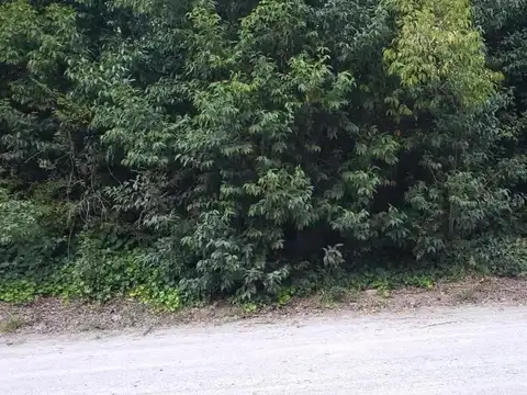 Terreno en Venta 20  mts Frente