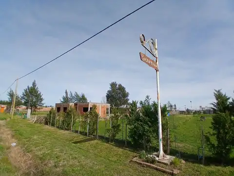 Benjamin Matienzo 1200