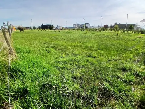 Terreno en Venta de 380,0 m2