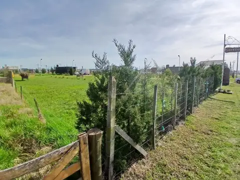 Benjamin Matienzo 1200