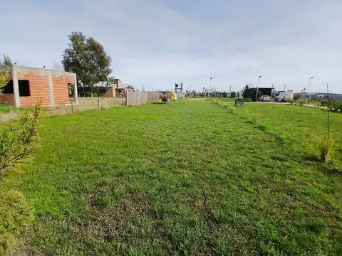 Terreno en Venta en Domselaar, USD 10.000