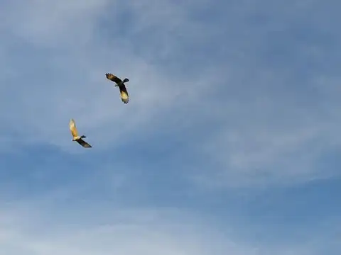 Terreno en Venta de 380,0 m2