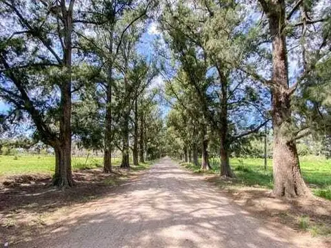 Terreno en Venta de 340,0 m2