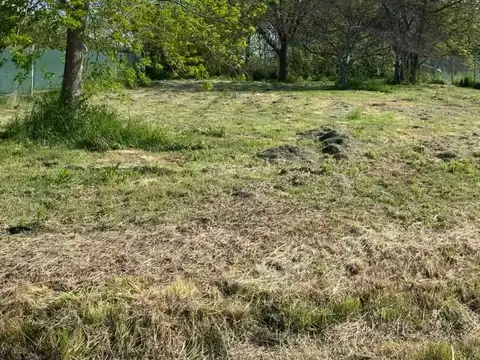 Terreno en Venta en Villa Elisa, USD 119.000