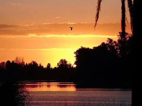 Alquiler en Nautico Escobar CC - Alquileres 6 meses