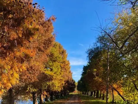 Club Náutico Escobar