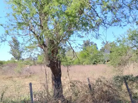 Terreno en Venta de 69000,0 m2