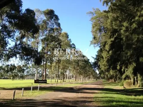 Terreno en Venta de 480,0 m2