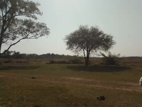 5.400 ha, Estancia Mongay, Chaco. Las Palmas.