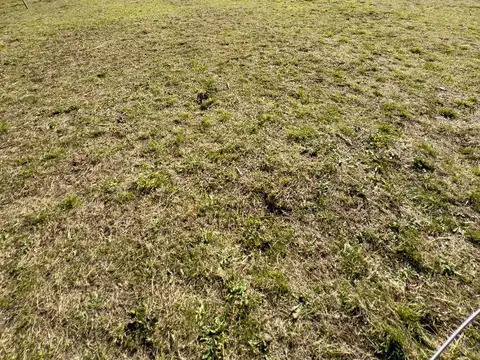 Terreno en Venta de 350,0 m2