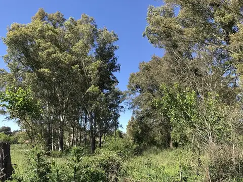 Terreno en Venta en San Antonio De Areco, USD 595.000