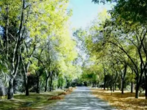 Terreno en Venta en Los Quinchos Country Club, USD 45.000