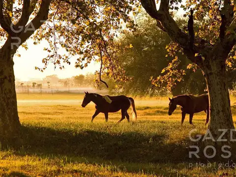 Terreno en Venta en Estancia Villa Maria, USD 80.000