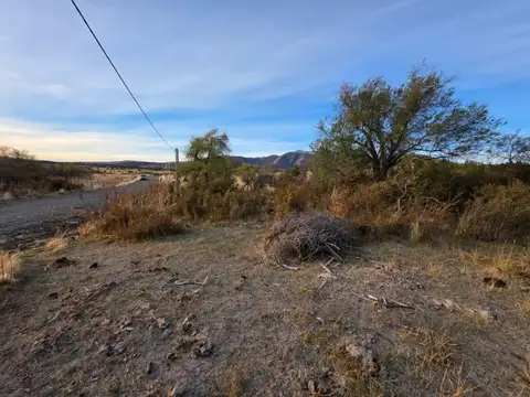 Terreno en Venta de 10009,0 m2