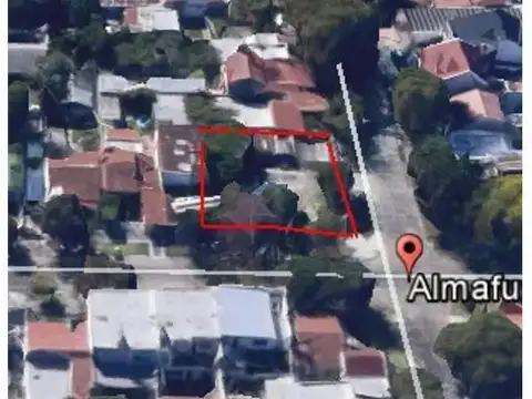 Almafuerte Al 1000  100