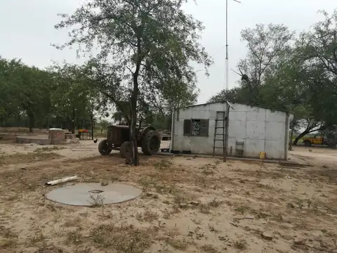 Campo en Alquiler de 2.600  ha