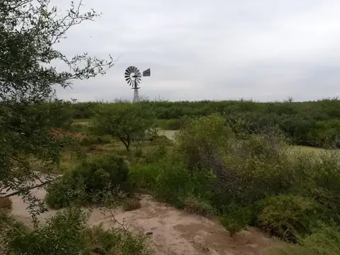 Campo en Alquiler de 2.600  ha
