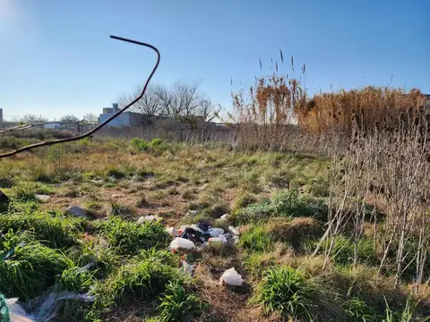 Terreno en Venta en Lisandro Olmos Etcheverry, USD 15.000