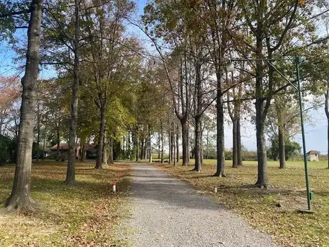 Terreno en Venta de 1000,0 m2