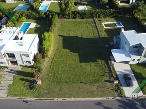 El Atardecer - lote 469 - Haras Santa Maria