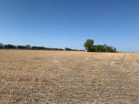 Camino De La Costa Ramallo