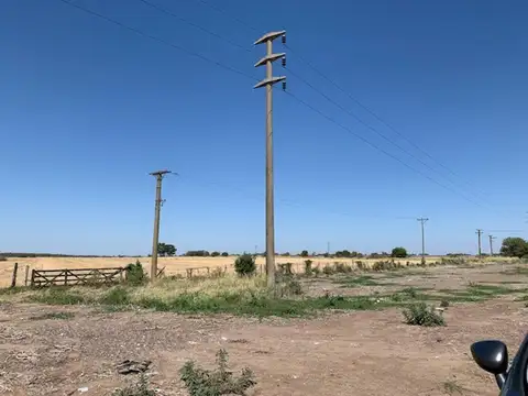 Campo 14 hect Agricolas Ramallo