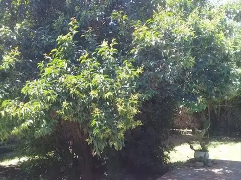 Casa en venta - 3 Dormitorios 2 Baños - 150mts2 - San Carlos de Bolivar