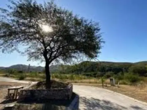 Terreno en Venta en Colinas De La Deseada, USD 53.500