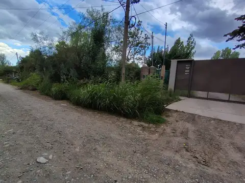 José Matías Zapiola 1800