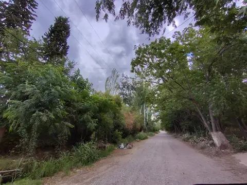 Terreno en Venta de 1000,0 m2