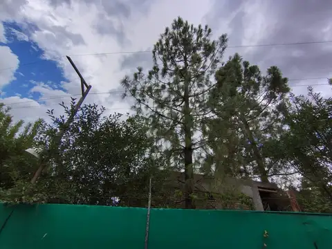 José Matías Zapiola 1800