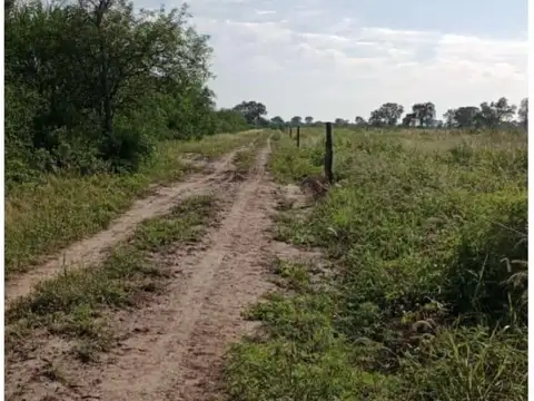 Campo Gandero de primer nivel