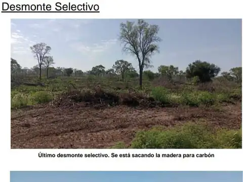 Campo Gandero de primer nivel