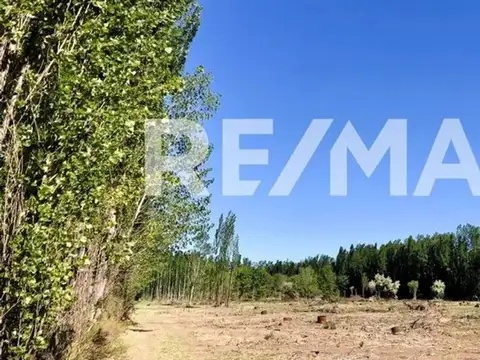 Terreno en Venta de 600,0 m2