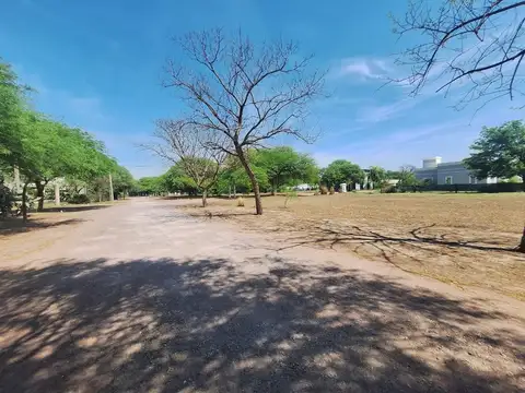 Independencia Prolongación