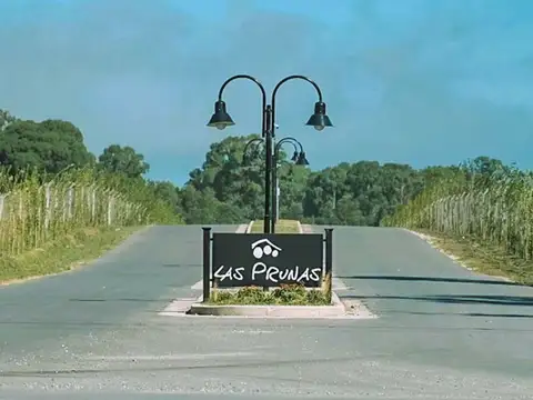 Avenida Jorge Newbery 5000