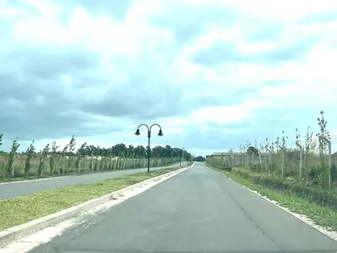 Terreno en Venta de 786,0 m2