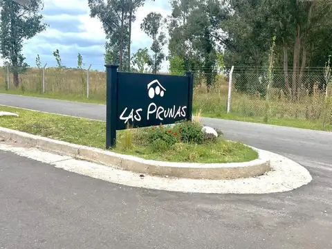 Venta lote barrio privado  Las Prunas 786 m"