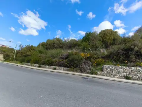 Avenida Cerro Catedral