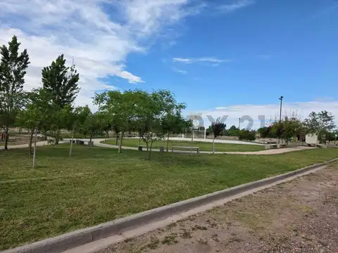 Terreno en Venta 31  mts Fondo