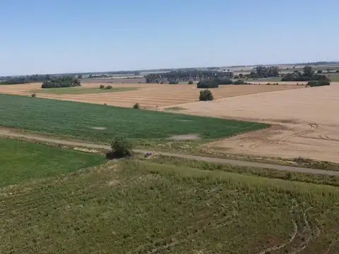 campo de 29 has agricolas en Venta en Villa Ruiz