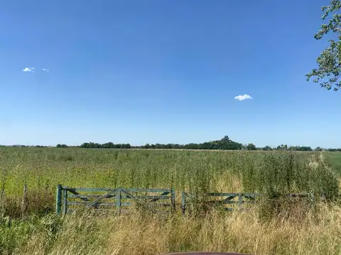 campo de 29 has agricolas en Venta en Villa Ruiz