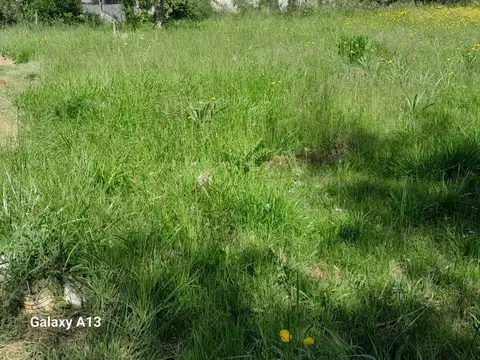 Terreno en Venta de 455,0 m2